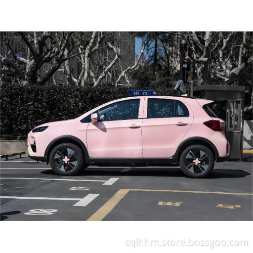 Udo Cloud Rabbit Поднимите внедорожник для взрослых EEC Carros Tuk Tuk Adultos Electric автомобиль